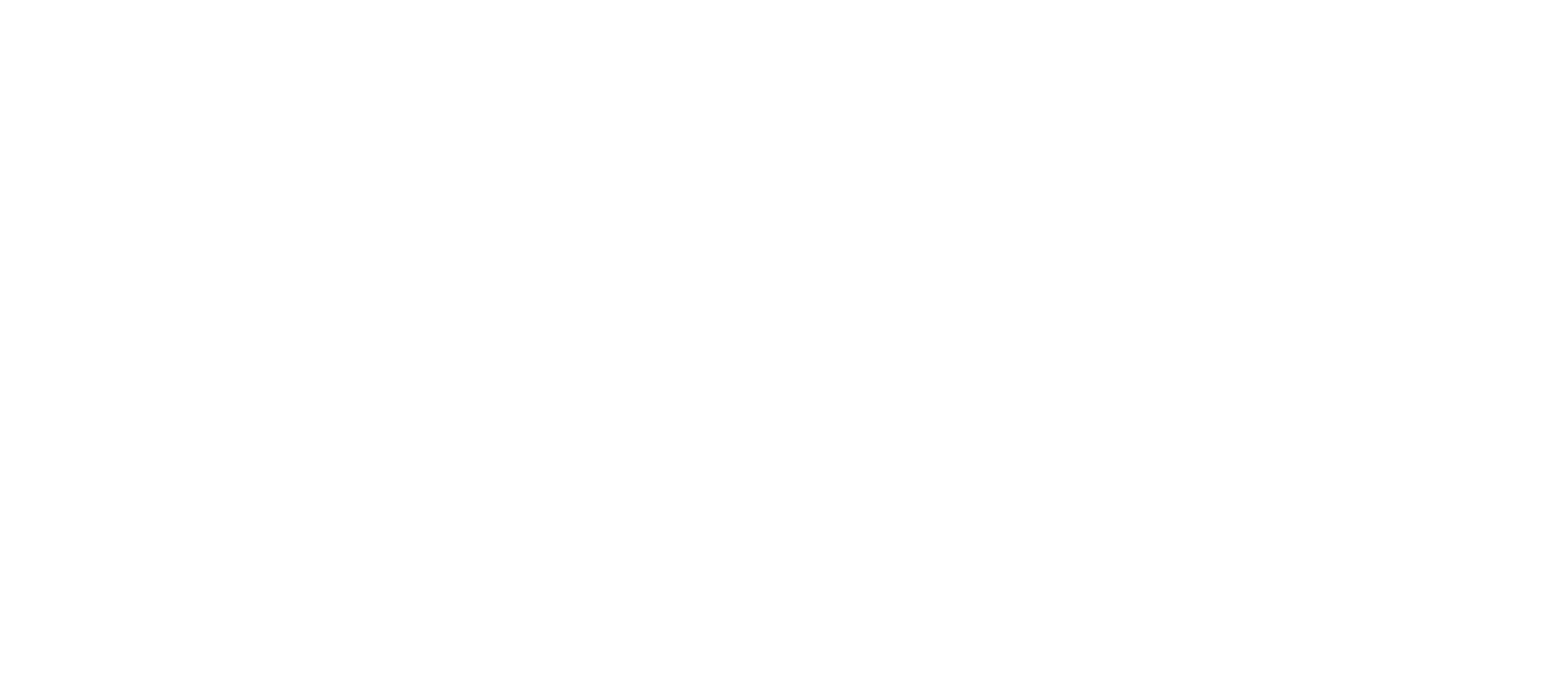ShareNOW Logo